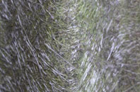 Rawthorpe fibreglass roof work